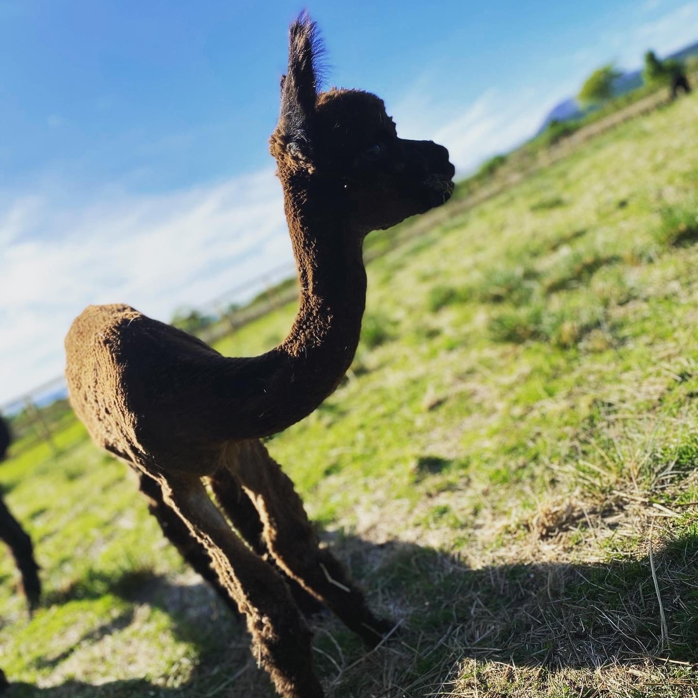 Glen showing off his new haircut