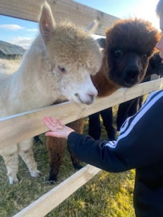 Lomond enjoying his treats
