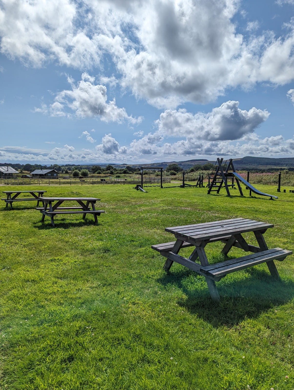 Picnic benches