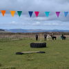 Alpaca Agility