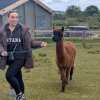 Alpaca Agility
