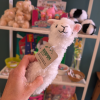 Gift Shop