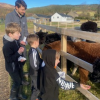 Feeding the alpacas with Tom