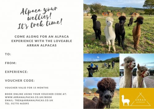 alpaca voucher